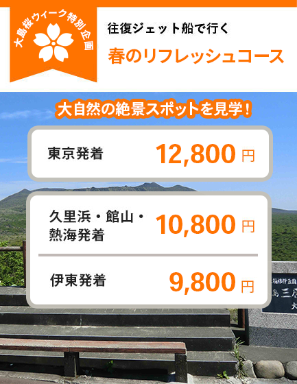 往復ジェット船で行く 春のリフレッシュコース
